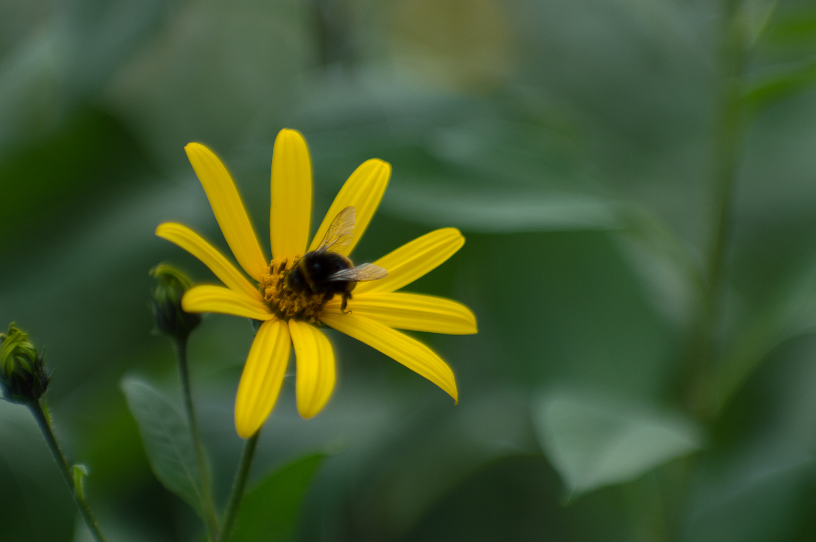 Юпитер 9 85mm f/2 продам 57867-3